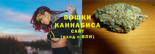 скорость Гусев
