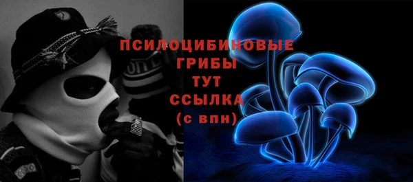 таблы Гусиноозёрск