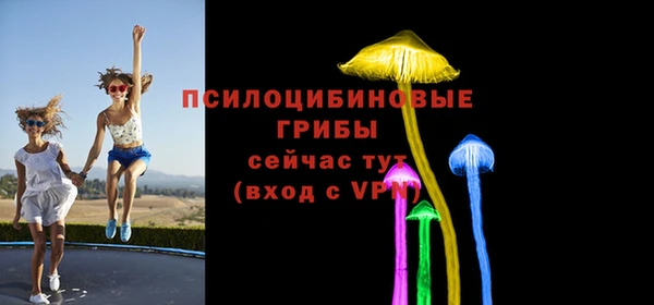 дживик Дмитровск