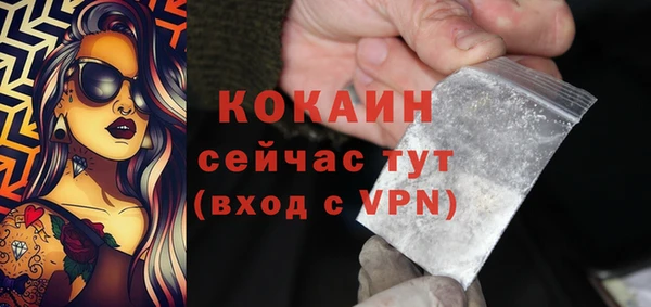 дживик Дмитровск